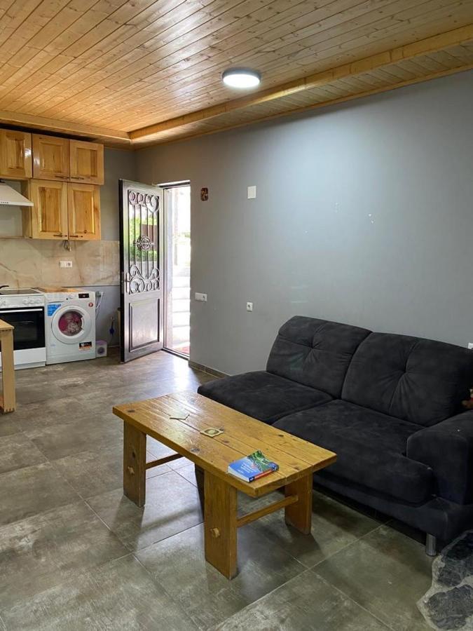 Sana Guest House Mestia Kültér fotó